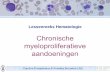 Chronische myeloproliferatieve aandoeningen - …€¢ acute fase of blasten crisis = acute leukemie (3-4 maanden) Caroline Brusselmans & Annelies Brouwers LAG Chronische myeloïde