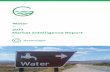 Water 2017 Market Intelligence Report - GreenCape · Water services market value chain 21 ... IV Water: Market Intelligence Report 2017 Water: ... Global desalination by water source