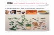 Home About Cancer Cancer Treatment Complementary … ·  · 2017-09-29Home About Cancer Cancer Treatment ... • Erectile Dysfunction (ED) • Eucalyptus (MedlinePlus) • European