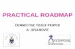 PRACTICAL ROADMAP - University of the Witwatersrandanatomical-sciences.health.wits.ac.za/roadmaps/Connective tissue... · •Slides: 120 – 1, 120 – 2, 120 – 3 Loose (areolar)