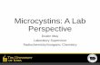 Microcystins: A Lab Perspective · Microcystins: A Lab Perspective Dustin May Laboratory Supervisor. Radiochemistry/Inorganic Chemistry