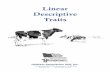 Linear Descriptive Traits - Holstein Association USA · FINAL SCORE A cow’s final score is based on the five major classification categories or breakdowns of front end and capacity,