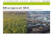 Marginal Oil - Heinrich-Böll-Stiftung | 1 Executive Summary 4 Introduction 5 1 Driving over the cliff: What’s behind the increasing exploitation of marginal oil? 8 1.1 International