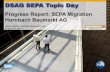 DSAG SEPA Topic Daysapidp/011000358700000818912013E.… · DSAG SEPA Topic Day ... Council Roadmap, 2004 “SEPA is the largest payments initiative ever ... Central SAP Retail-, FICO-,