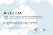 Arctic Eia · // Arctic ”academic” workshop in Rovaniemi Dec 2014 by the Arctic Centre // Arctic EIA ... Guidelines for EIA in the Arctic (1997) 2. ... The Case of Mining ...
