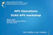 APV Operations ICAO APV workshop Meetings Seminars and Workshops/PBN … · APV Operations ICAO APV workshop ... A DOA or similar organisation will have to ... This EASA CRI proposes