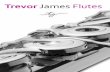 Trevor James Flutestrevorjamesflutes.co.uk/PDFs/Trevor James Flute Owners manual for... · Your Trevor James flute A B C Always put the three parts of your flute back in the case