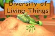Diversity of Living Things - coatesj.weebly.comcoatesj.weebly.com/uploads/6/1/0/2/61028649/gr6_diversity_of_life... · 1 Diversity of Living Things. ... A cell is the basic unit of