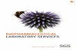biopharmaceutical Laboratory Services - Sgs · BIOPHARMACEUTICAL TESTING SERVICES BIOLOGICS CHARACTERIZATION SGS pioneered physicochemical characteri-zation using high-end mass spectrometry