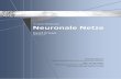 Überblick Neuronale Netze - News [D. Kriesel] · dkriesel.com InGedenkenan Dr.PeterKemp,Notara.D.,Bonn. D.Kriesel–EinkleinerÜberblicküberNeuronaleNetze(ZETA2-DE)iii