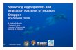 Spawning Aggregations and Migration Patterns of …conference.ifas.ufl.edu/floridakeys/Presentations/Friday/AM/0945... · Spawning Aggregations and Migration Patterns of Mutton ...