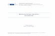 National Single Window Guidelines - European …ec.europa.eu/.../modes/maritime/doc/2015-06-11-nswguidelines-final.pdf · 9.2 Ship clearance ... These guidelines do not lay down a