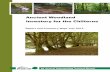 Ancient Woodland Inventory for the Chilterns · Chilterns Ancient Woodland Survey Report ... ancient woodland inventory ... To promote appropriate woodland management and support.