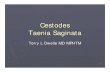 Cestodes Taenia Saginata - North Dakota Department of … · Cestodes Taenia Saginata. Terry L Dwelle MD MPHTM. 2. Geographic Distribution