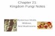 Chapter 21: Kingdom Fungi Notes - Fort Bend ISD · Fungi? •From our Classification unit, we should already know many things about fungi ... Section 21-2 Figure 21-8 The Life Cycle