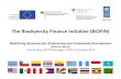 The Biodiversity Finance Initiative (BIOFIN) - United … · The Biodiversity Finance Initiative (BIOFIN) ... Assessment Methodologies ... • A map of global biodiversity financing