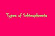 Types of Schizophrenia - JMB-Psychjmb-psych.wicomico.wikispaces.net/file/view/AP+-+Schizophrenia... · Undifferentiated Schizophrenia ... •Schizophrenia is rare in children –