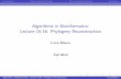 Algorithms in Bioinformatics: Lecture 15-16: Phylogeny ...lucia/courses/5126-11/lecturenotes/16-17... · IntroductionDistance-Based MethodsCharacter-Based MethodsConclusion Phylogeny
