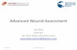Advanced Wound Assessment - nzwcs.org.nz · Advanced Wound Assessment Jan Rice ... best meet nurses needs in wound assessment 1/06/2015 Blenheim May 2015 4 . The two wound assessment