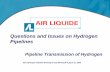 Questions and Issues on Hydrogen Pipelines: Pipeline ... · Pipelines Pipeline Transmission of ... Air Liquide Oxygen, Nitrogen , ... Questions and Issues on Hydrogen Pipelines: Pipeline