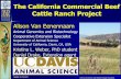 The California Commercial Beef Cattle Ranch Project · the mean individual feeder value/calf ... Irrespective of hybrid vigor (heterosis), ... Slide 1 Author: