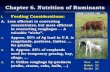 Chapter 6. Nutrition of Ruminants - tamuk.eduusers.tamuk.edu/kfsdl00/Chapter 6-1419.pdf · Chapter 6. Nutrition of Ruminants I. Feeding Considerations: A. Less efficient in converting
