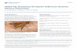 Yellow Fly, Diachlorus ferrugatus (Fabricius) (Insecta ...edis.ifas.ufl.edu/pdffiles/IN/IN59500.pdf · Yellow Fly, Diachlorus ferrugatus (Fabricius) (Insecta: Diptera: Tabanidae)