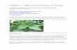 Chapter 1 - Light use and leaf gas exchange - asps.org.au · Case Study 1.2 - Five chlorophylls and photosynthesis 1.3 ... (Section 1.2). Section 1.1 encompasses ... seen covering