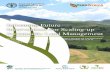 Informing Future Interventions for Scaling-up Sustainable ... · lessons learned for decision makers from a review of experiences of the terrafrica strategic investment programme