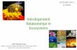 Interdependent Relationships in Ecosystems - …cloud.rpsar.net/edocs/Science/Grade 2/ARSS_Unit_3/2ndGradeUnit3... · Interdependent Relationships in Ecosystems ... Unit 5 Tales From