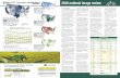2016 U.S. forage statistics 2016 national forage review · Total alfalfa hay production ... USDA National Ag Statistics Service 2016 annual Crop Production report, ... For market