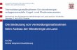 Vermeidungsmaßnahmen für windenergie- … · Iris Otto Referat Integrierte Umweltplanung Hessisches Ministerium für Wirtschaft, Energie, Verkehr und Landesentwicklung. 2