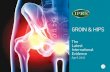 GroIn & HIps - s.kwikweb.co.zas.kwikweb.co.za/sportphysiogr/photos/Groin Hip Handbook - Helen... · Groin pain Introduction ... indemnity, and direct access to 24/7 medico-legal advice