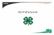 2008 VolunteerIN Self-Esteem PowerPoint.ppt IN 4-H Toolkit... · To understand the concept of self-esteem. 2. To recognize healthy and unhealthy self-esteem in youthesteem in youth.