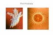 The Protista - David Bogler · •Unicellular eukaryotes grouped in the Protista, very diverse, ... Paramecium nuclei b. During ... Naegleria fowleri – the brain-eating Amoeba