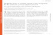 Molecular basis of synaptic ... - Department of Biologybiologylabs.utah.edu/jorgensen/ MANUSCRIPTS pdfs/2007 Jung Stoni… · 4Program in Molecular, Cell and Developmental Biology,