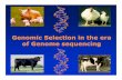 Genomic Selection in the era of Genome sequencing - …snp.toulouse.inra.fr/~alegarra/ben_hayes_course/slides/... ·  · 2011-11-15Long range phasing. Relationships Sire Dam Proband