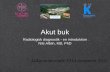 Akut buk - Choose identity provider ·  · 2013-11-19Akut buk Radiologisk diagnostik - en introduktion Nils Albiin, MD, PhD ... DI: Abdomen; Amirsys . ... PowerPoint Presentation