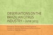 OBSERVATIONS ON THE BRAZILIAN CITRUS …swfrec.ifas.ufl.edu/docs/pdf/squeezer/2013/june/Tom-OBSERVATIONS ON...OBSERVATIONS ON THE BRAZILIAN CITRUS INDUSTRY – June 2013 Presented