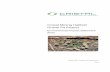 Cristal Mining Hatfield Gravel Pit Project - Balranald Shire · Cristal Mining Hatfield Gravel Pit Project ... CRISTAL_GravelPit_EIS_20170822 22-08-2017 R. Mills Final . ... Vegetation