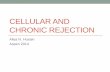CELLULAR AND CHRONIC REJECTION - Pathology · sufficient to diagnose acute T-cell mediated rejection. Both may be but are not necessarily present . ... bronchitis/bronchiolitis Grade