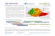 ETHIOPIA Food Security Update August 2009 · 2017-07-05 · Current estimated food security conditions, August 2009 ... Afder zone for instance, water trucking is urgently needed