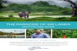 THE PARADISE OF SRI LANKA - Ross Garden Tours · THE PARADISE OF SRI LANKA WITH MICHAEL BATES Discover a paradise island with incredible flavours, history and culture. Sri Lanka ...