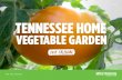Tennessee Home Vegetable Garden Calendar · 2018 TENNESSEE HOME VEGETABLE GARDEN CALENDAR . ... W e hope this calendar is one step in your ... • Many cultivars are available with