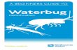 Waterbug - Melbourne Water group you’ll find predators, herbivores, algae grazers, filter feeders and many animals that combine two or more of these feeding styles. Bugs Diet Diet