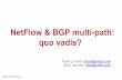 NetFlow & BGP multi-path: quo vadis? & BGP multi-path: quo vadis? ... Netflix CDN: Open Connect In house CDN ... Free, open-source, independent