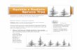 Squirkle a Realistic Spruce Tree - Amazon S3 · the drawing space used to draw the tree in this tutorial. 2 Drawspace Curriculum 3.2.A2 ... examining spruce trees in nature, you can