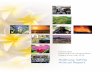 Highway Safety Annual Report - Hawaii Department of ... Annual Evaluation Report Summary 6 statewide effort involved government and Federal Aid Reimbursement 7 Program Administration