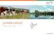 JHARKHAND - IBEF Jharkhand September 2009 PERFORMANCE ON KEY SOCIO-ECONOMIC INDICATORS Percentage distribution of GSDP •Jharkhand‘s gross state domestic product (GSDP) grew at