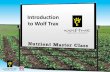 Introduction to Wolf Trax Master... · Urea MAP DAP AMS KCl Zinc Granules % More Dense . ... PROTINUS-treated corn seed results in larger roots ... Zn Oxide 50% CNI